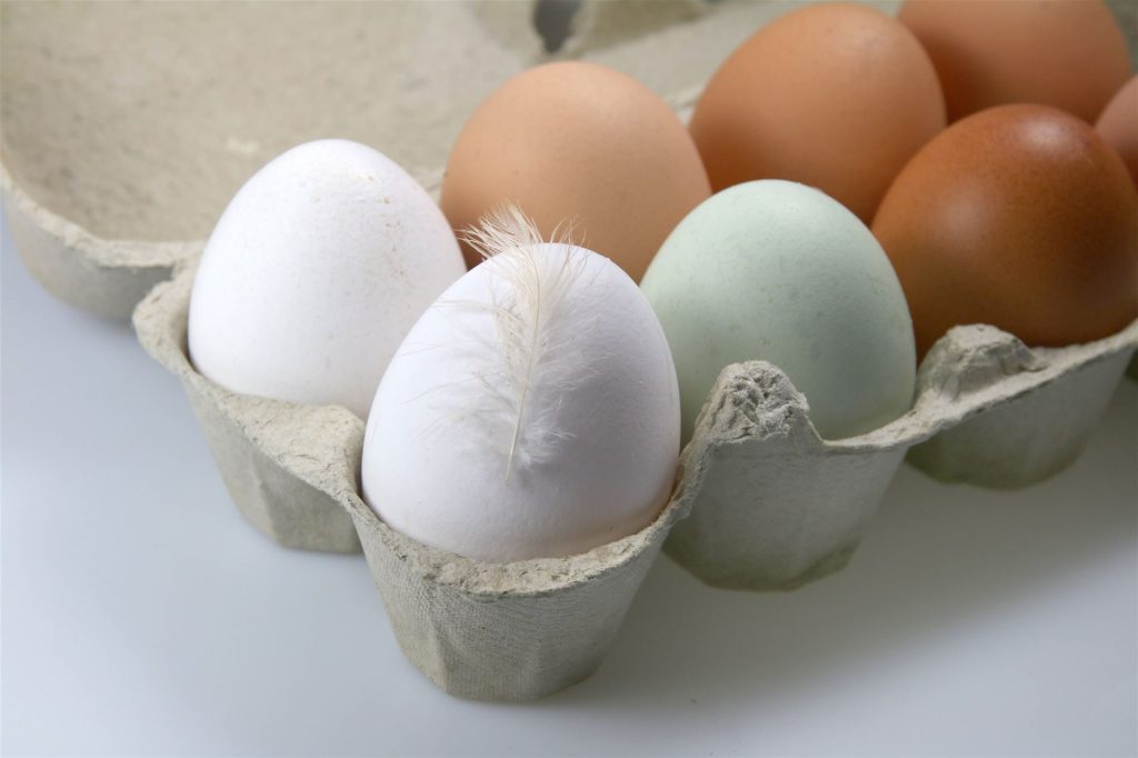 Eier IMAGO CHROMORANGE 1024x682