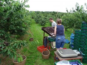 Seminar Fuer Mitarbeitende Familienangehoerige 300x225