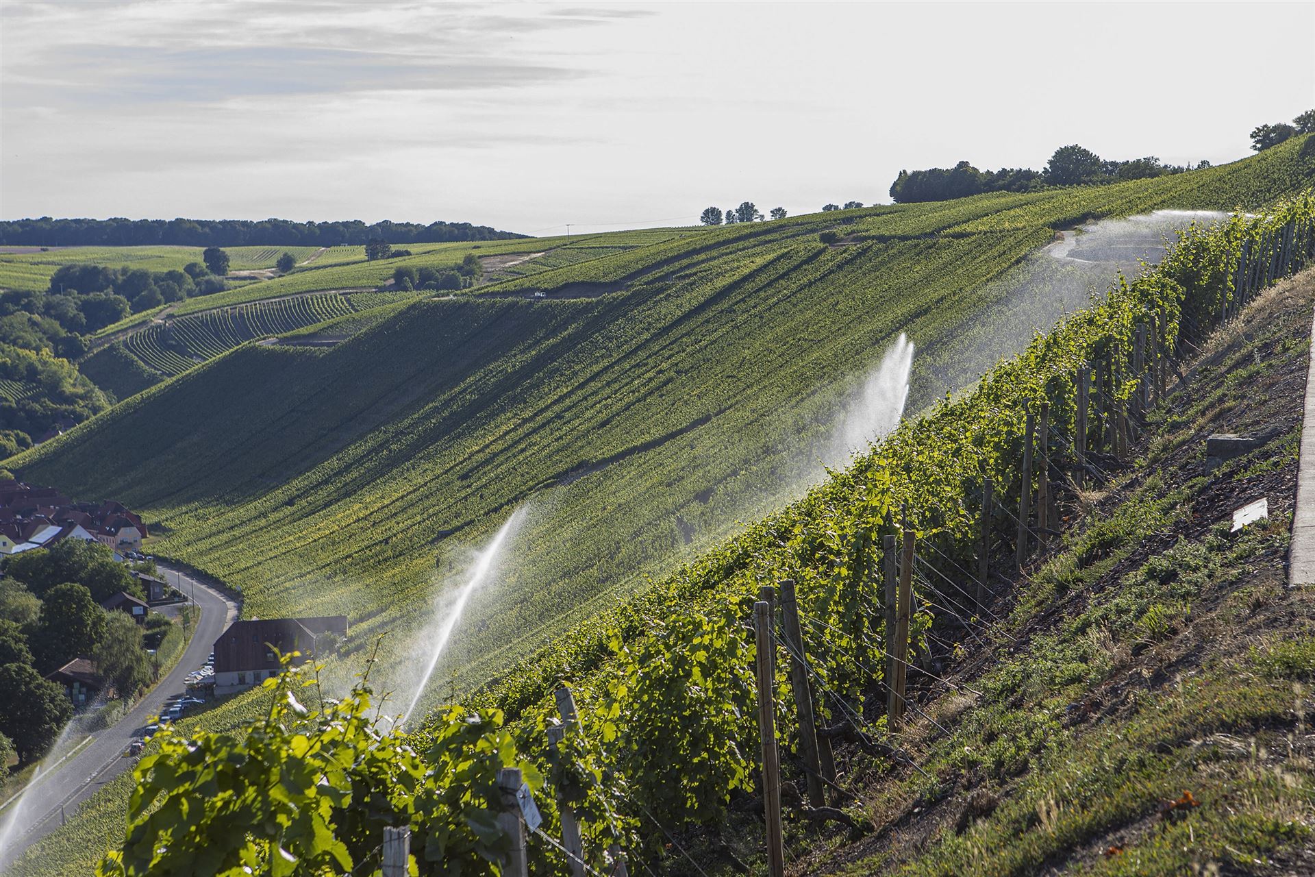 BWV kritisiert weitere staatliche Belastung für Landwirte und Winzer