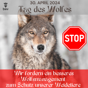 Tag Des Wolfes III 300x300