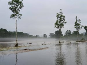 Ueberschwemmung In Der Eifel Imago0125598571h Eibner 300x225