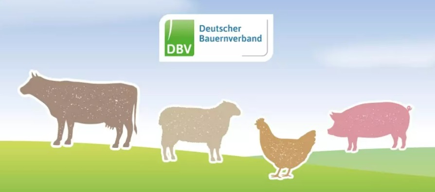 Unterschriftenaktion Gegen Tierschutzgesetz Des DBV