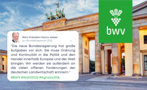 Wahl 2025 Homepage 300x184