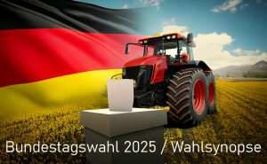 Wahlsynopse 2025 300x185