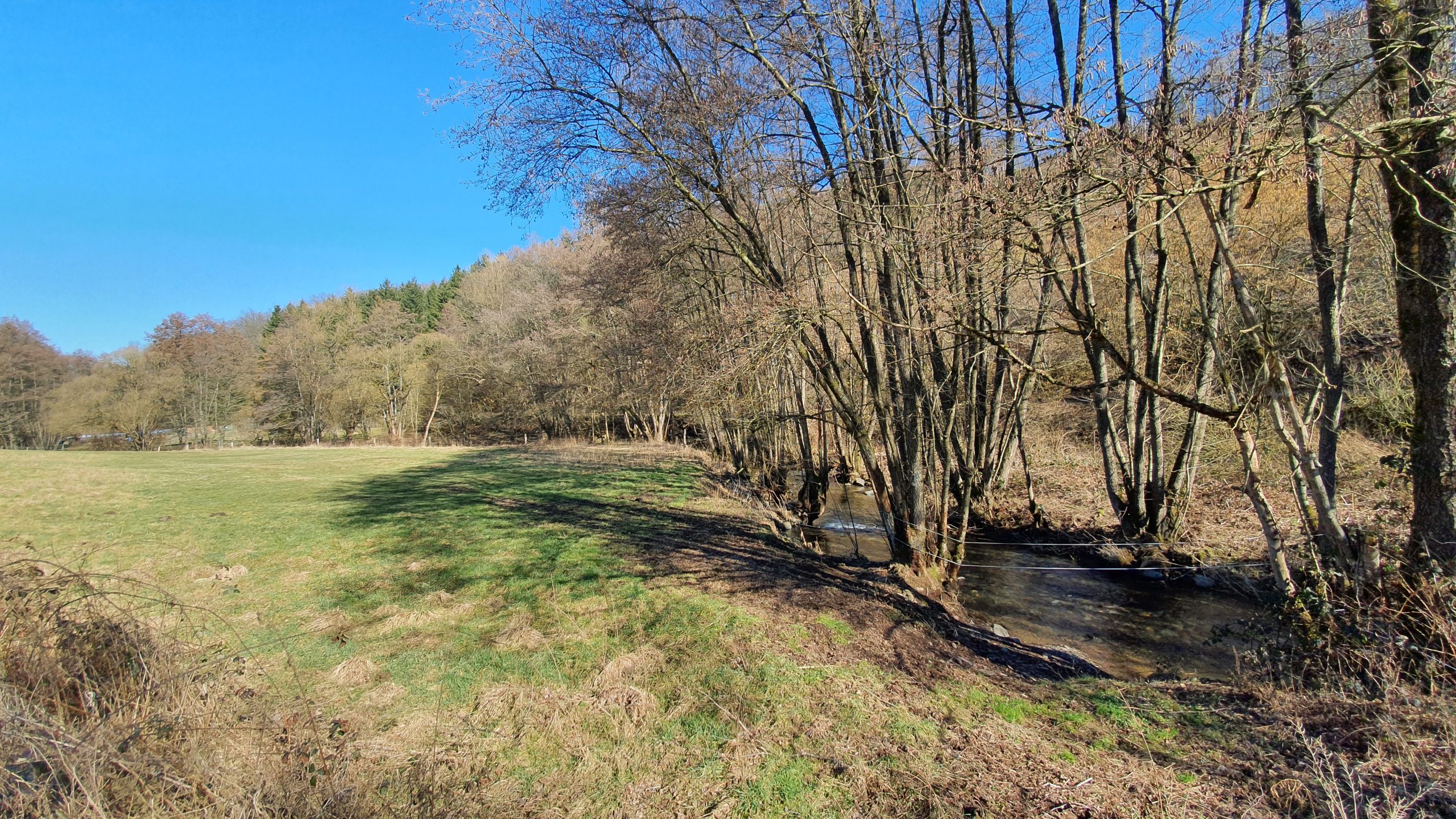 BWV lehnt verbindliche Festsetzung von Naturschutzstationen ab