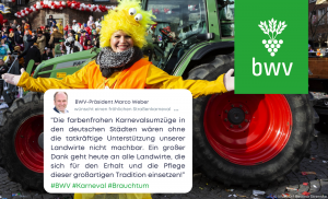 Karneval HP 1300x790 1 300x182