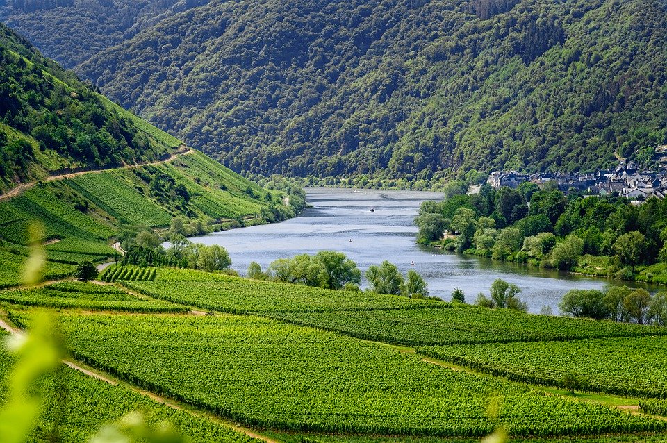 Weinbau Mosel