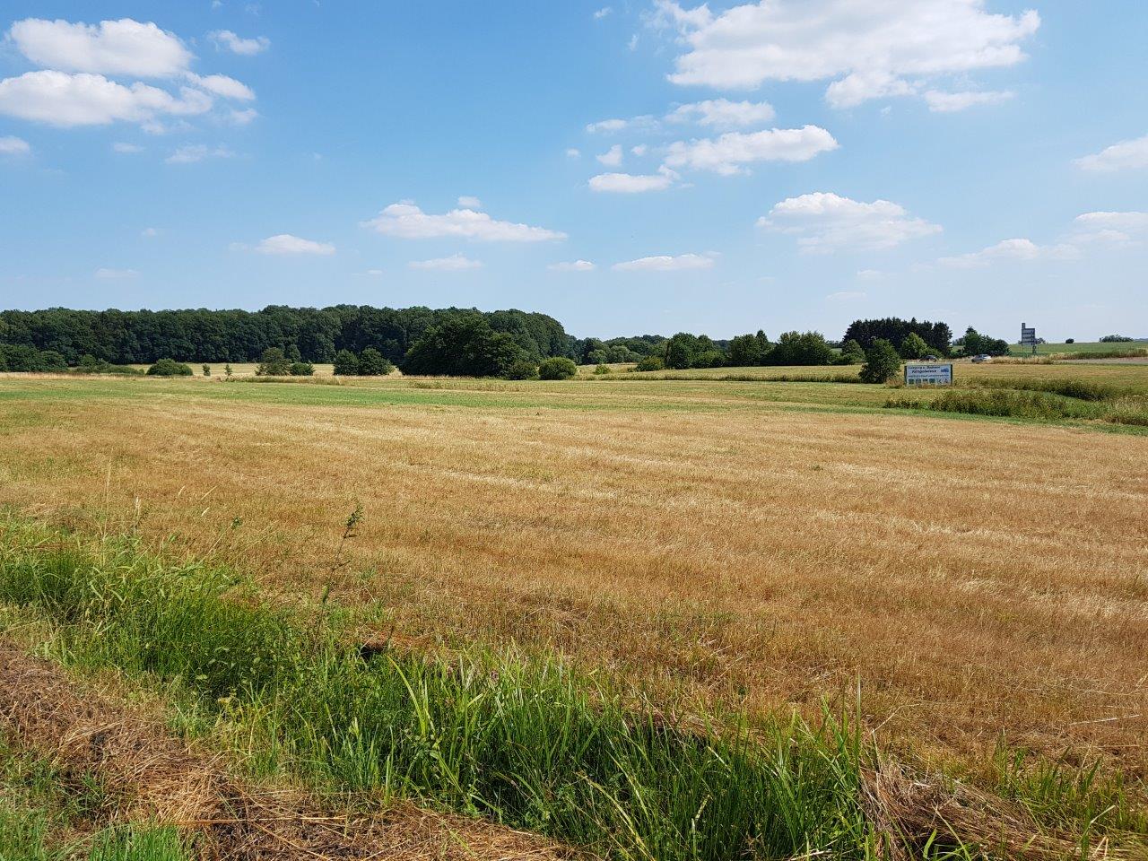 Frühjahrstrockenheit setzt Landwirtschaft in Rheinland-Pfalz unter Druck