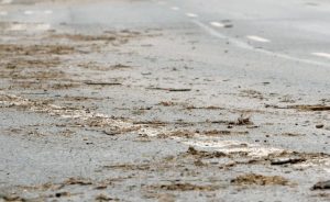 Imago51609565 1 300x184