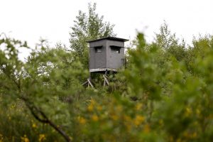 Imago822212071 300x200