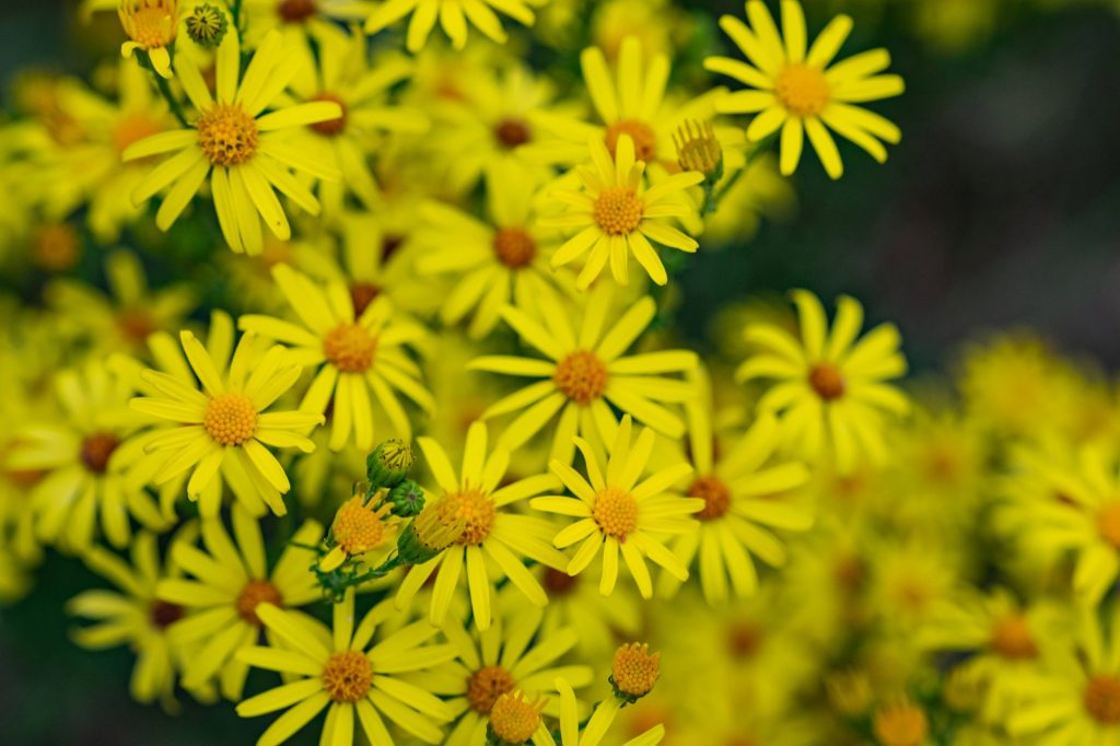 Imago828623065 Small 1024x682