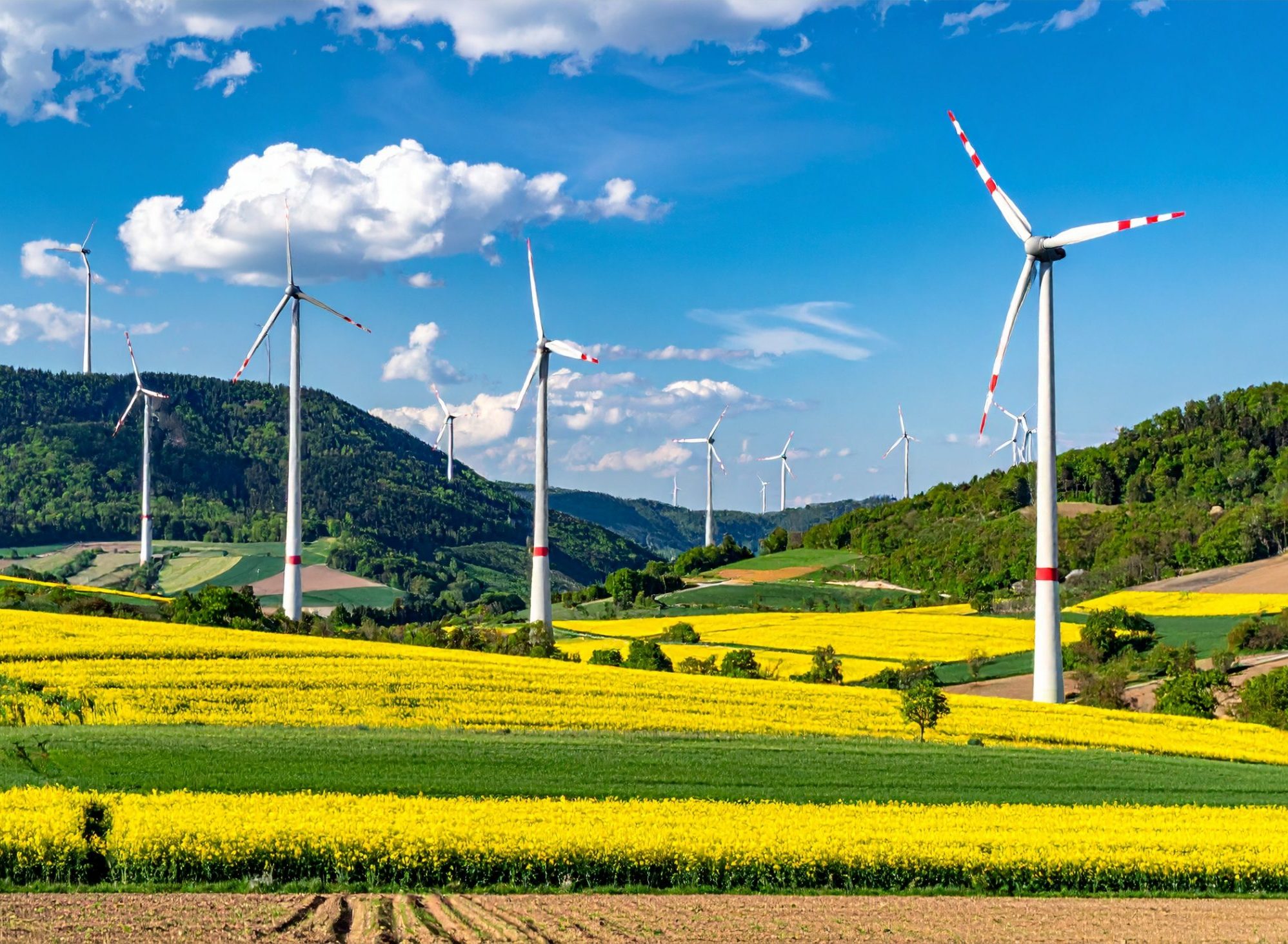Landeswindenergiegebietegesetz Rheinland-Pfalz – BWV rügt kurze Stellungnahmefrist