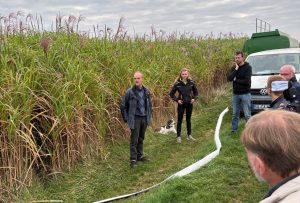 Miscanthusfeld Mit Prof. Ralf Pude 1 300x203