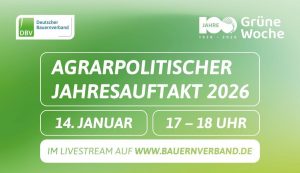 20260108 DBV Politischer Jahresauftakt 300x173