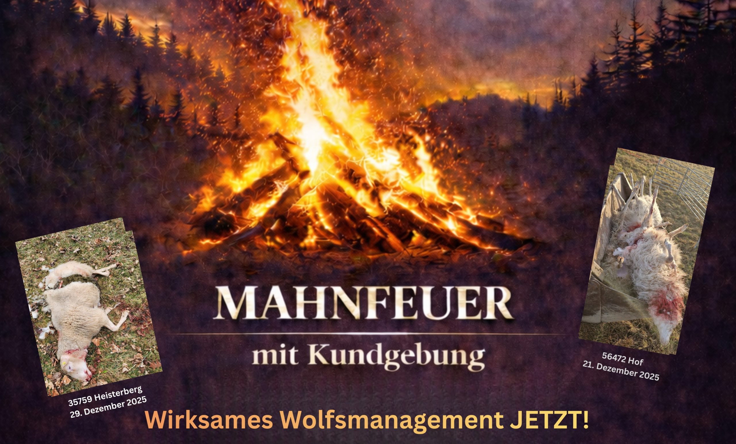 Wann, wenn nicht jetzt? Die Weidetierhalter stehen auf! Mahnfeuer im Westerwald fordert wirksames Wolfsmanagement
