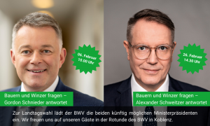 HomepageNewstitel 53 1 300x180