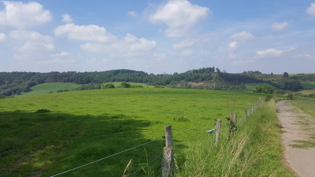 Lambertsberg 2017a 2 1024x576