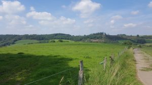 Lambertsberg 2017a 2 300x169