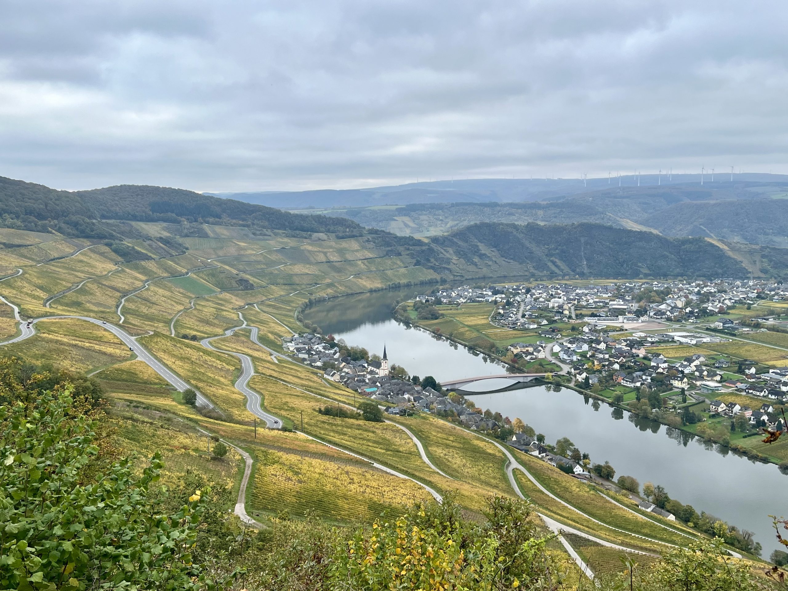 Übergangsweise Anerkennung der Schutzgemeinschaft Mosel verlängert