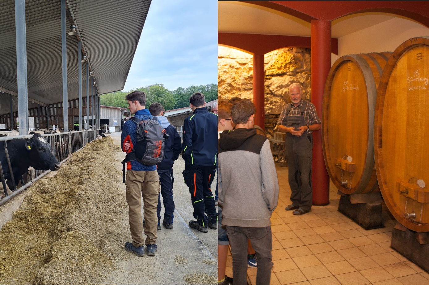 AgriAdventure Camp – Berufsorientierung in Grünen Berufen