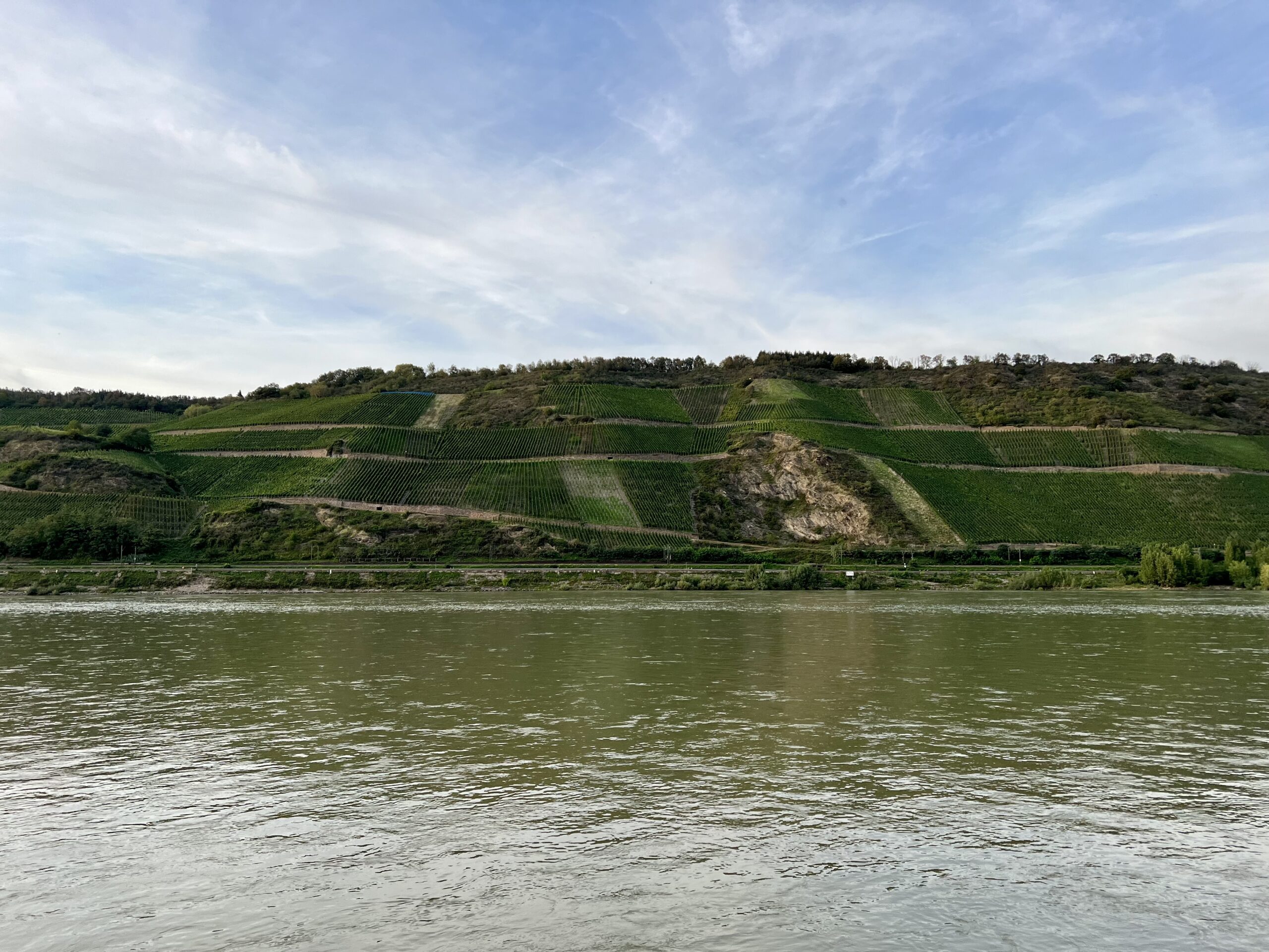3. Standardänderungsantrag zur g.U. Mittelrhein abgeschlossen