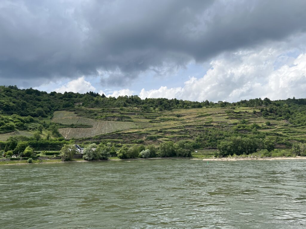 Mittelrhein Querterrassen Hendgen 1024x768